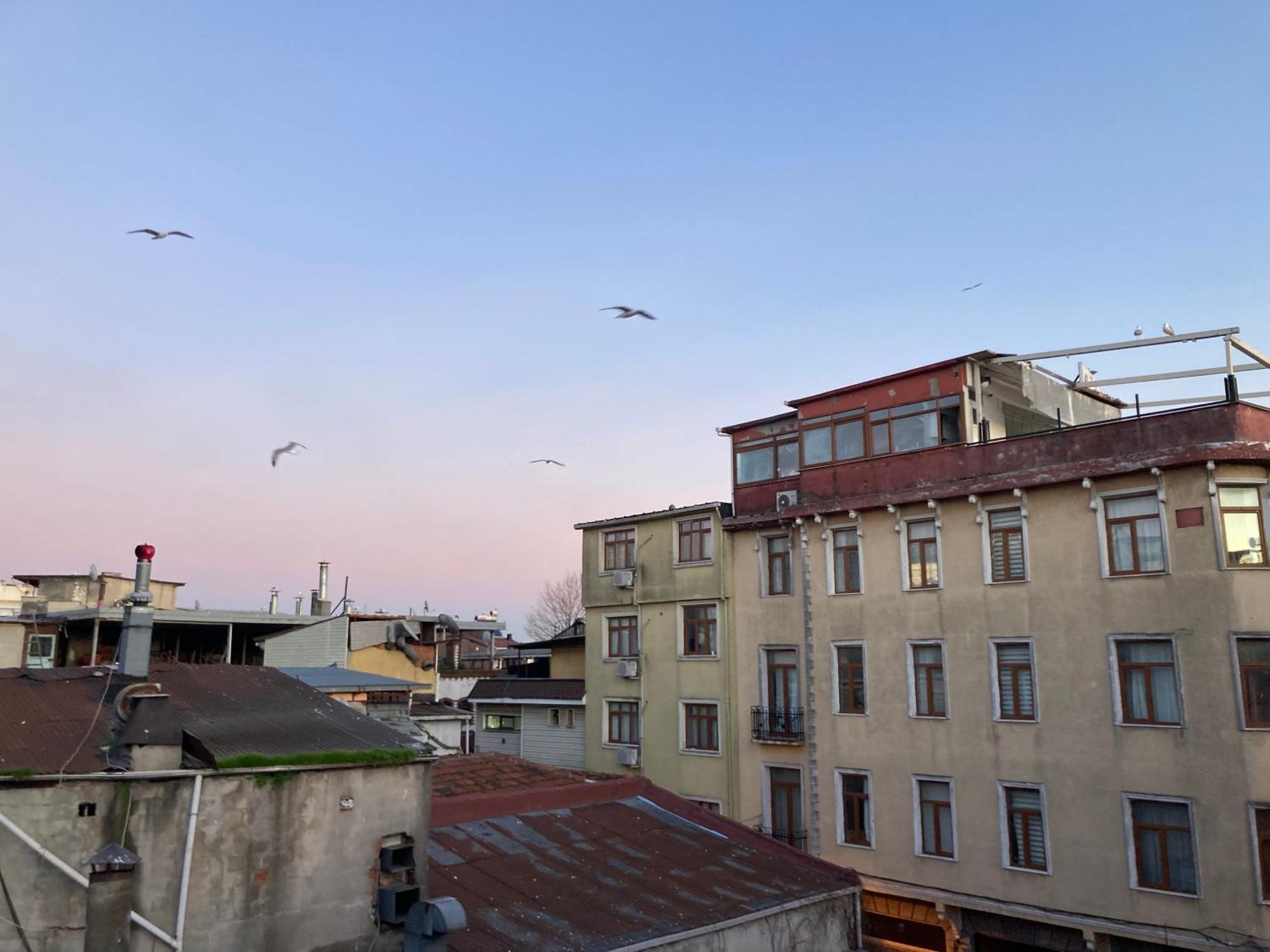 Ulusoy Old City اسطنبول المظهر الخارجي الصورة